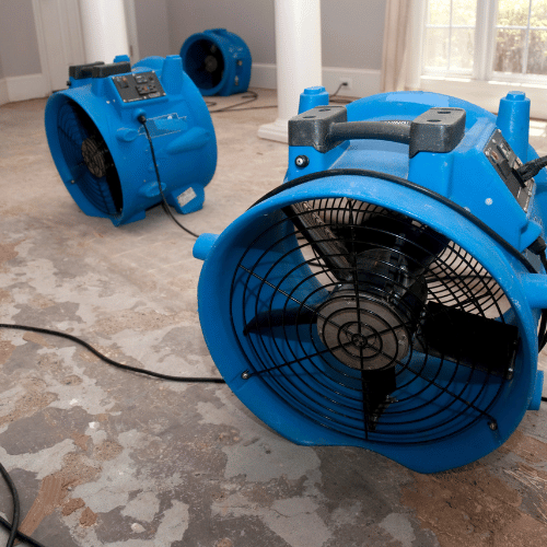 Pro Tier Industries Water Damage Restoration in Little Elm TX